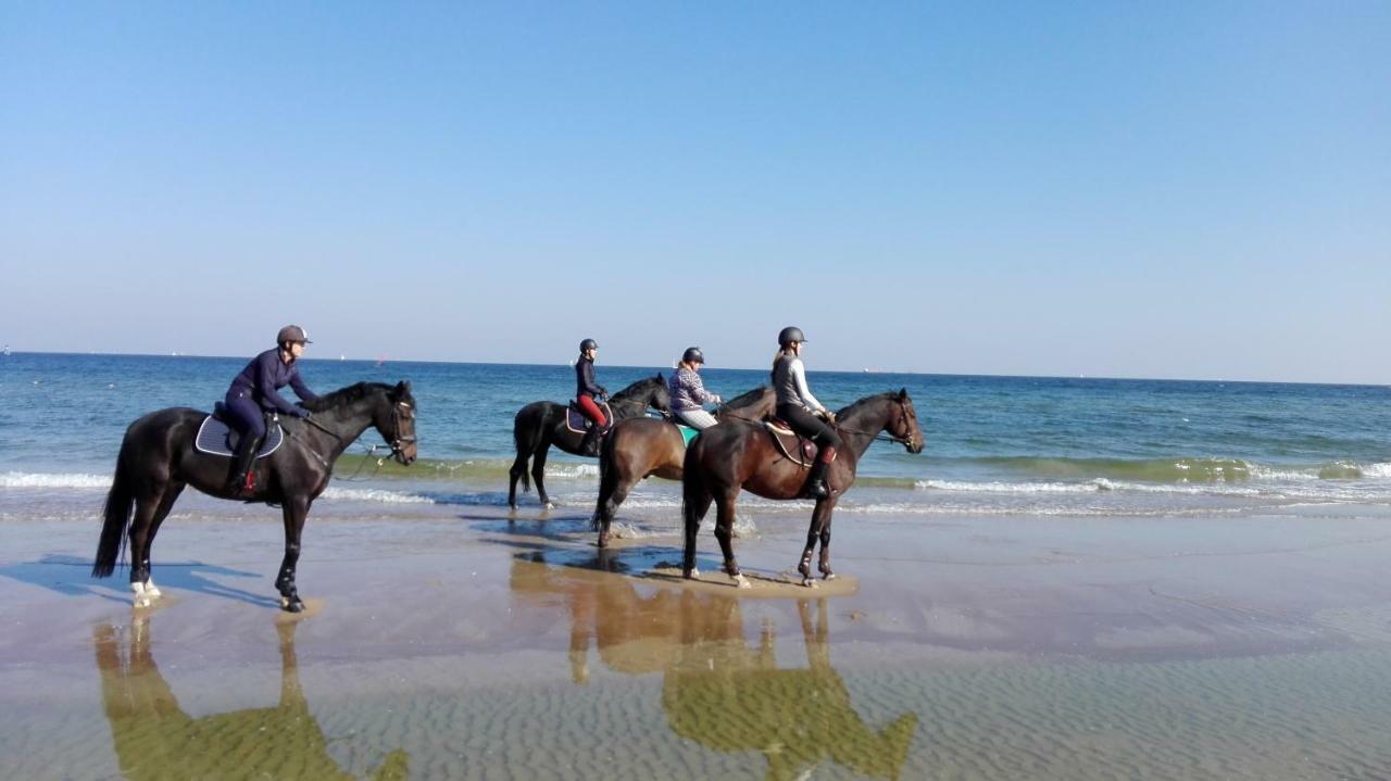 Przy Plazy * Sopot